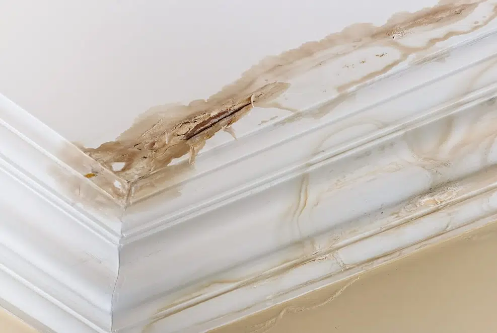 Water Leak Damage On Wall & Ceiling