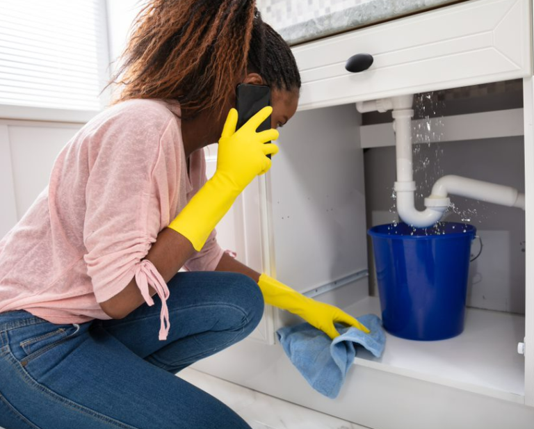 Woman Placing Bucket Under Sink With Leaked Pipes