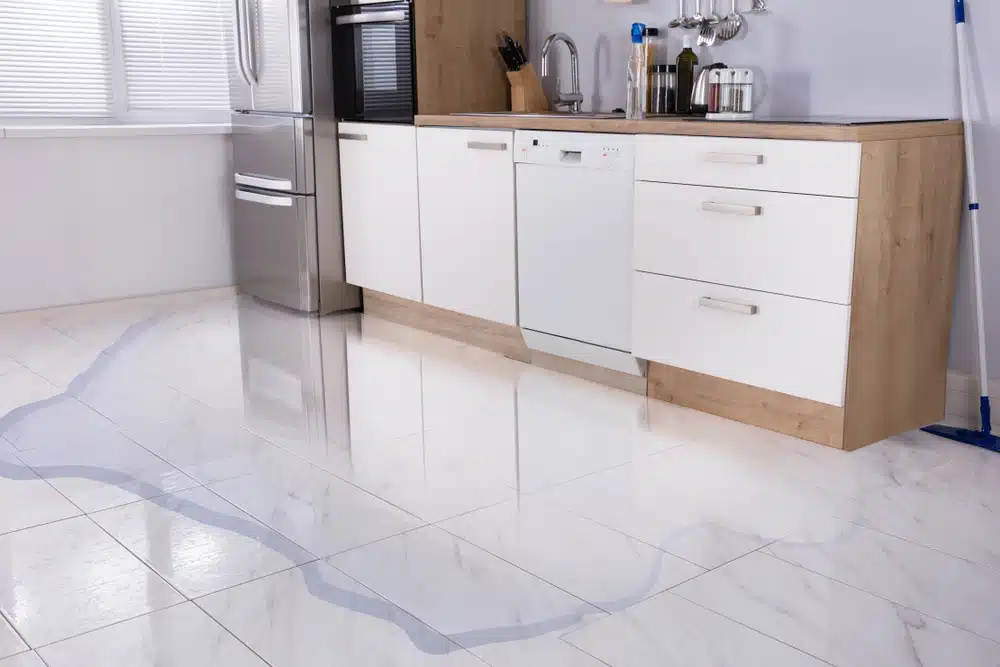 Close-up Of Flooded Floor