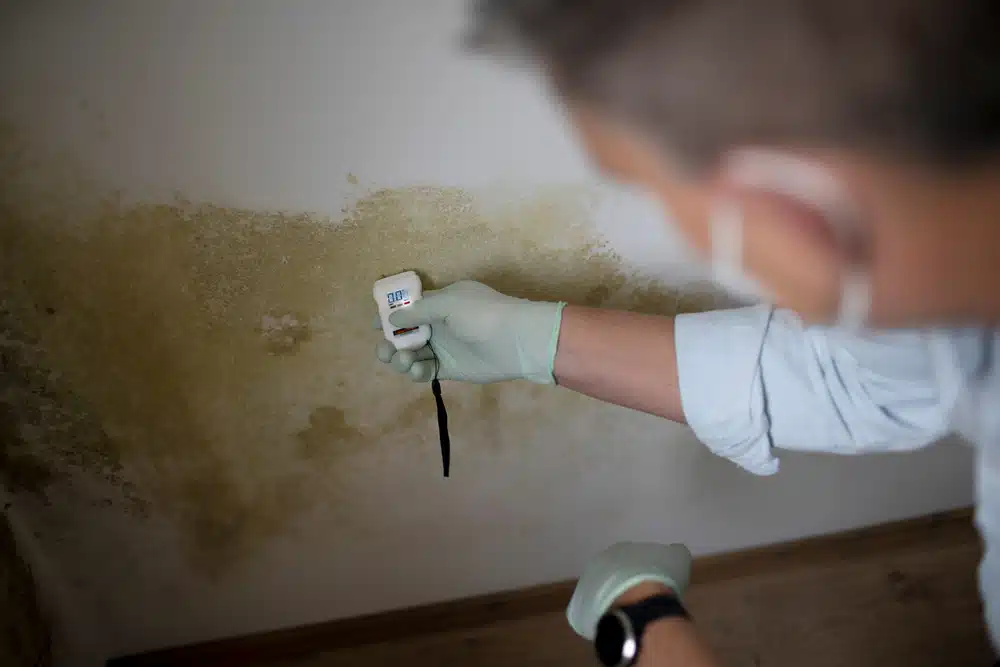 Moisture Meters Measure The Moisture Levels